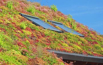 Sinton Green living roof systems